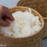 Rice Kingdom.: Cooking Sticky Rice in a Microwave