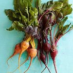 Beet Recipes - How to Cook Fresh Beets at WomansDay.com