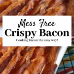 How Long to Microwave Bacon - TipBuzz