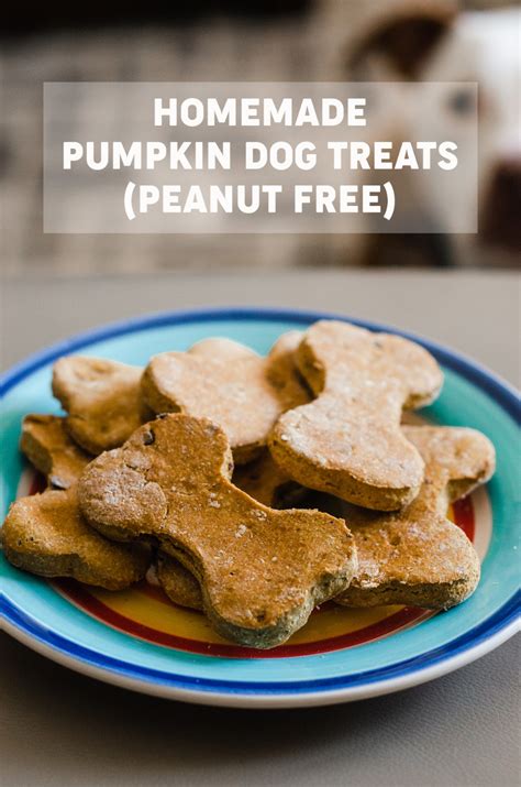 Pumpkin Dog Treats